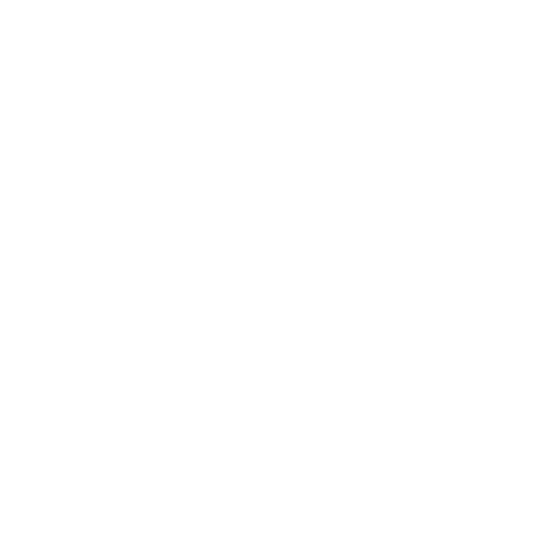 Xing Logo